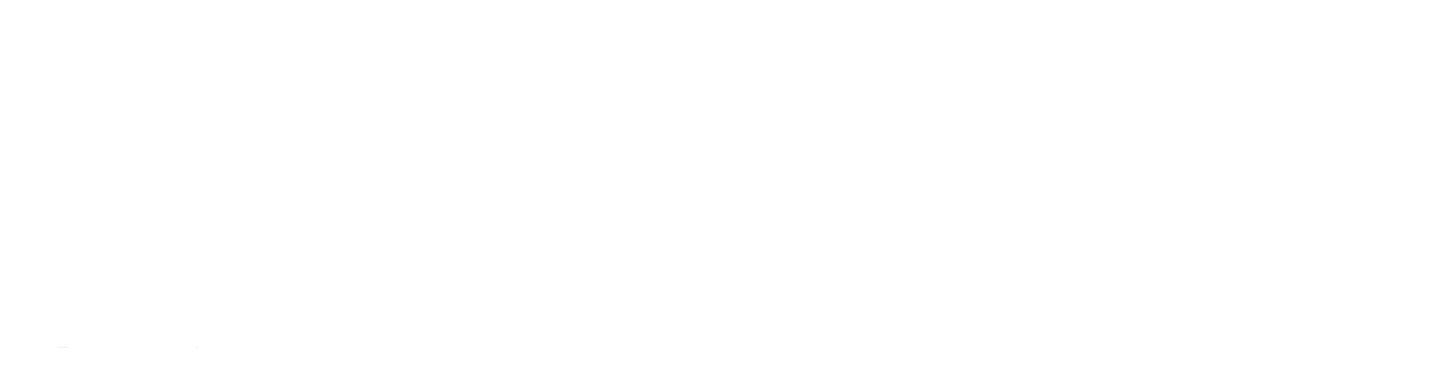 SBW Ventures, Inc.